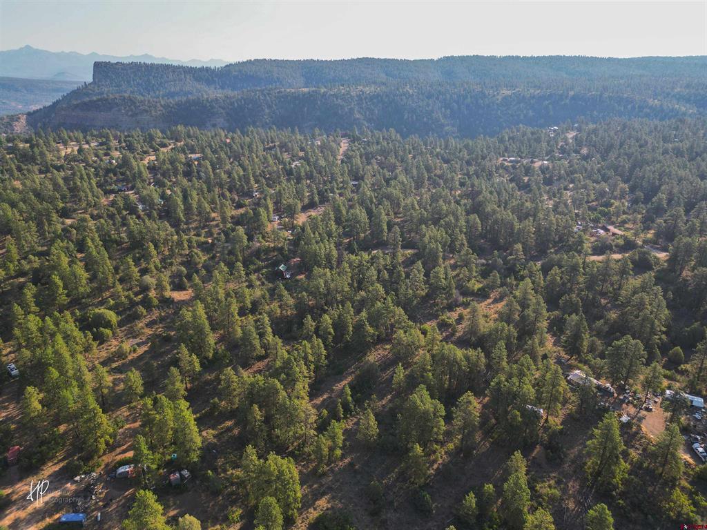 326 Justin's Road Pagosa Springs CO 81147