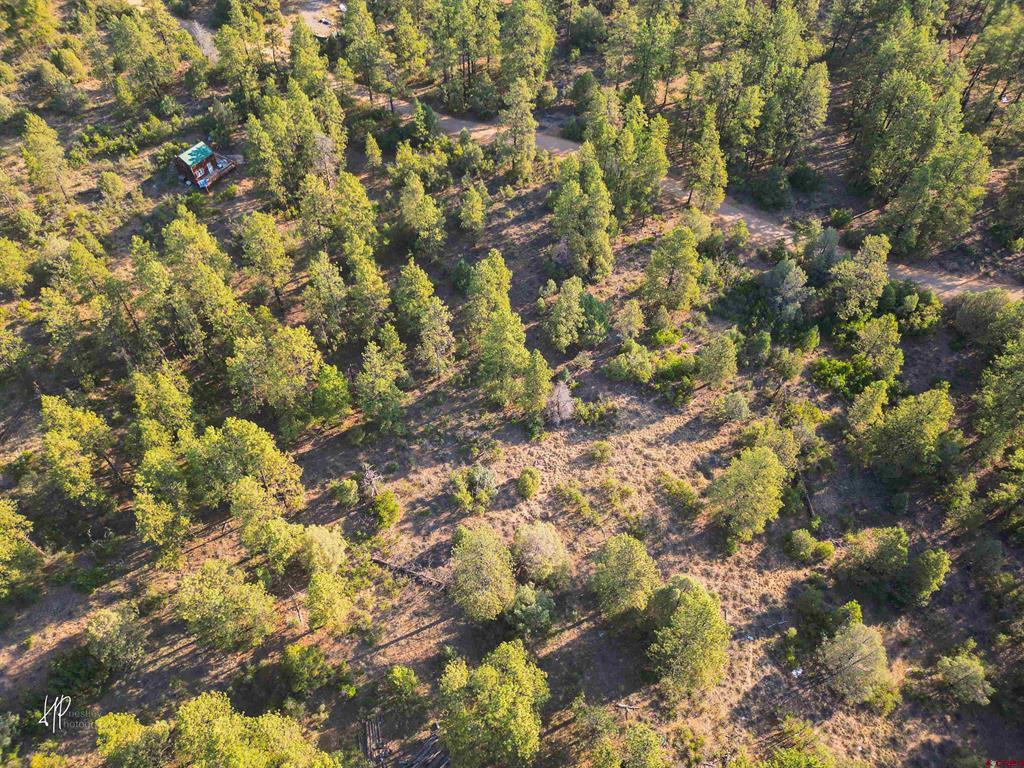 326 Justin's Road Pagosa Springs CO 81147