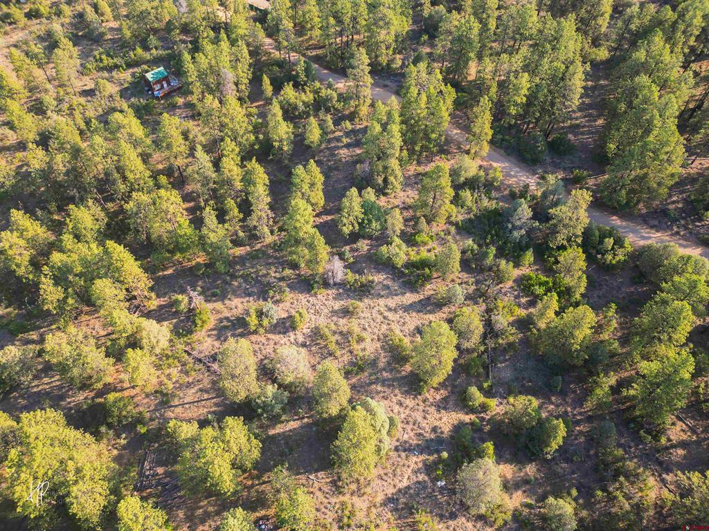 326 Justin's Road Pagosa Springs CO 81147