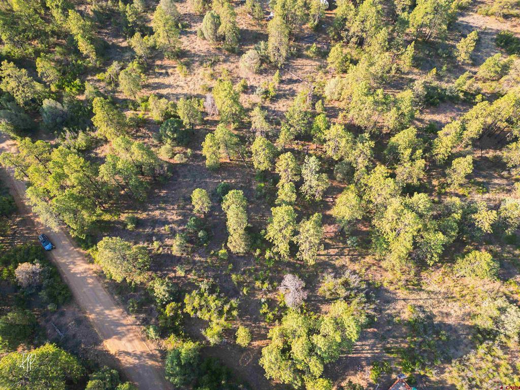 326 Justin's Road Pagosa Springs CO 81147