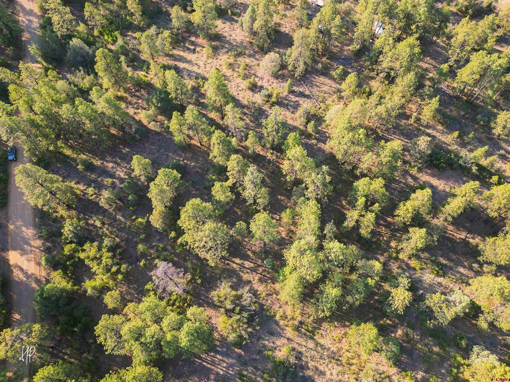 326 Justin's Road Pagosa Springs CO 81147