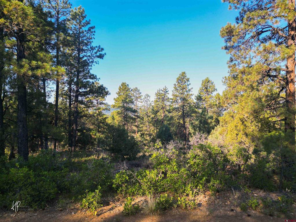 326 Justin's Road Pagosa Springs CO 81147