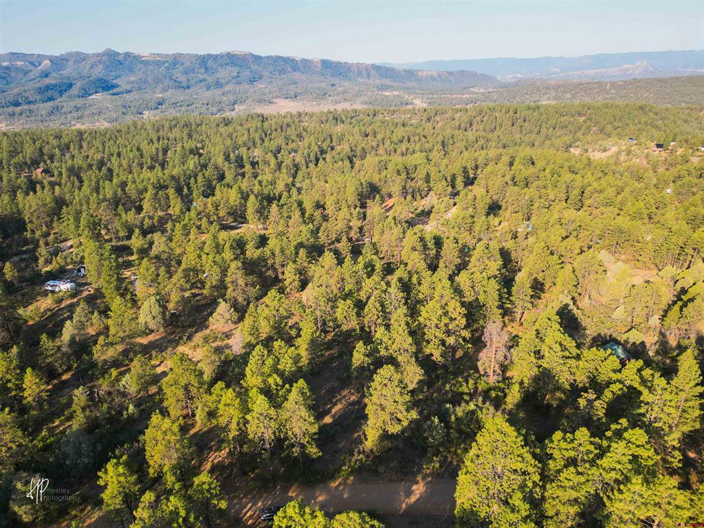 326 Justin's Road Pagosa Springs CO 81147