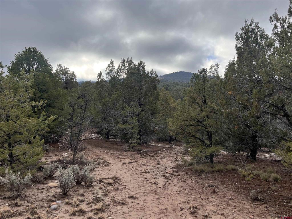 2114 County Road 318 Ignacio CO 81137