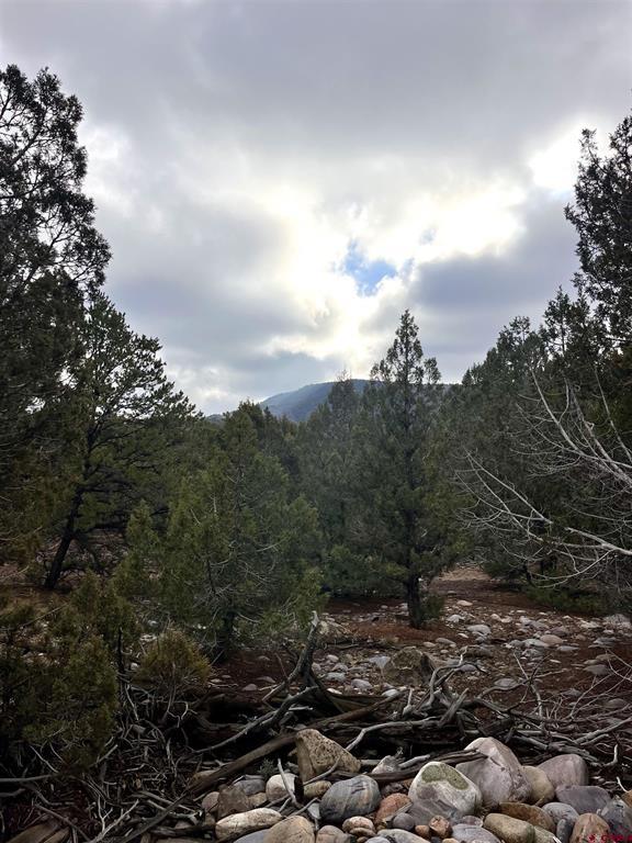 2114 County Road 318 Ignacio CO 81137