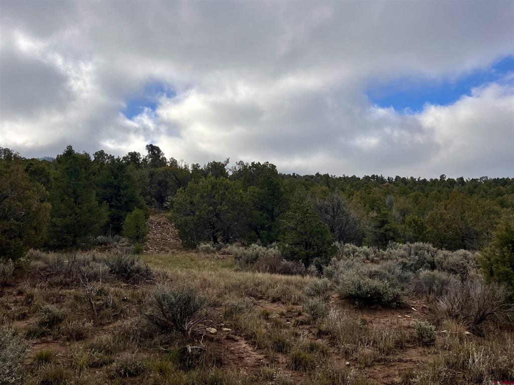 2114 County Road 318 Ignacio CO 81137