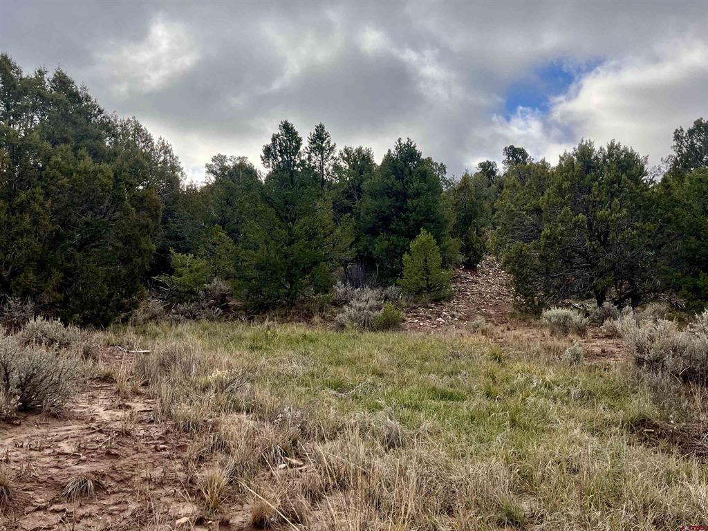2114 County Road 318 Ignacio CO 81137