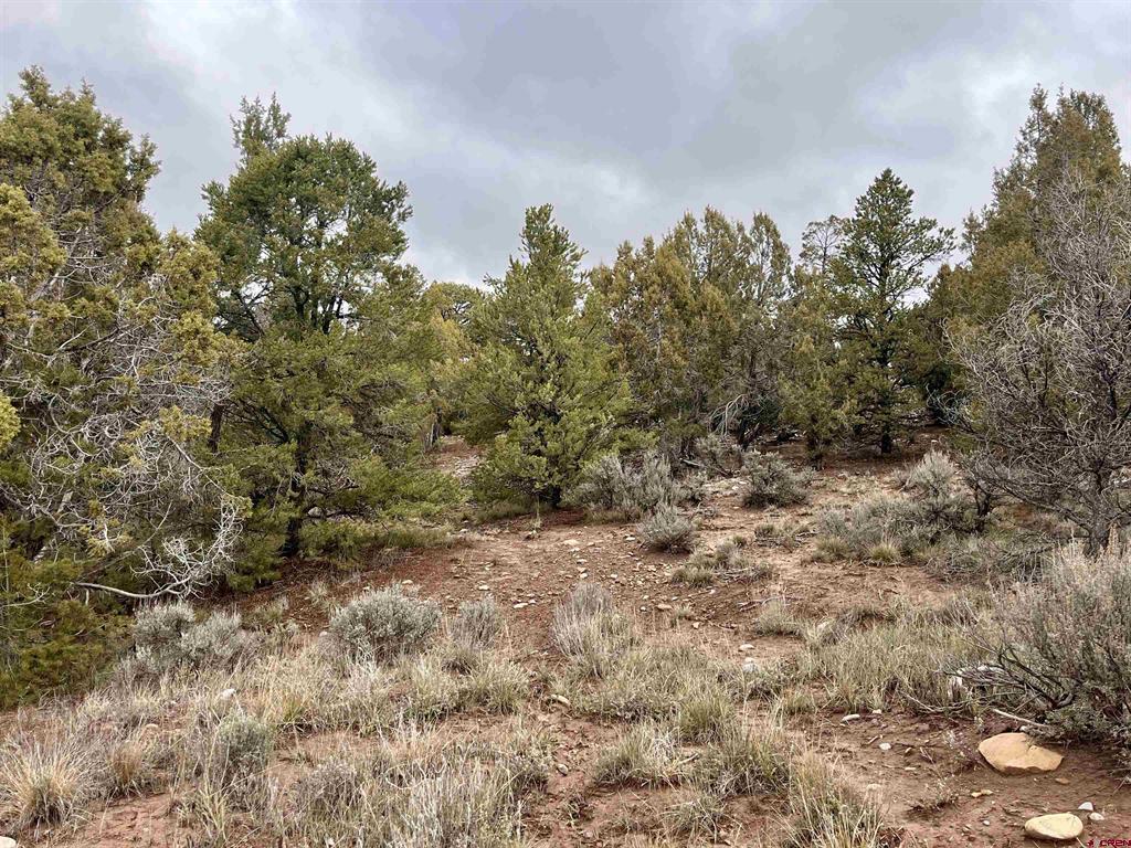 2114 County Road 318 Ignacio CO 81137