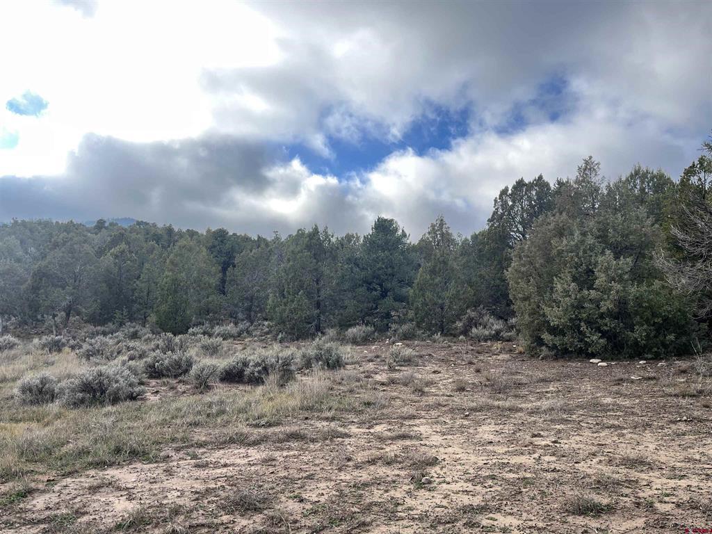 2114 County Road 318 Ignacio CO 81137