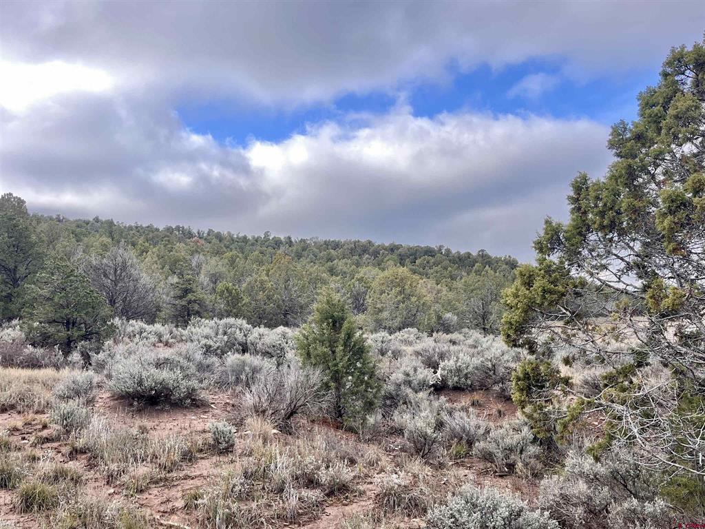 2114 County Road 318 Ignacio CO 81137