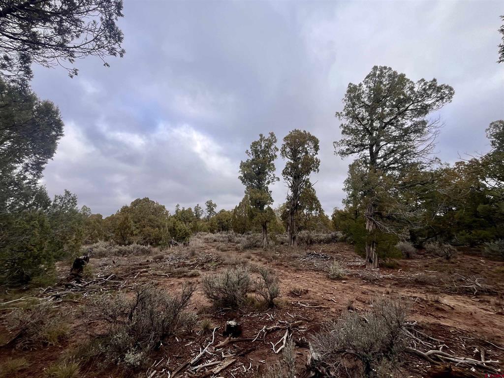 2114 County Road 318 Ignacio CO 81137