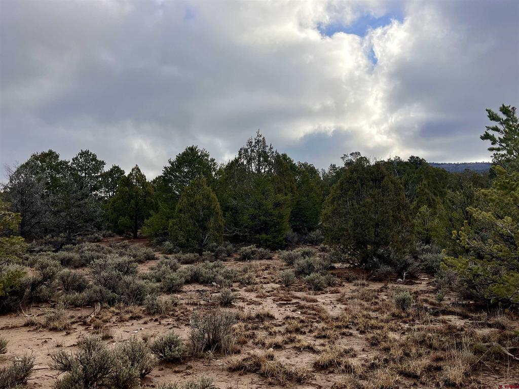 2114 County Road 318 Ignacio CO 81137