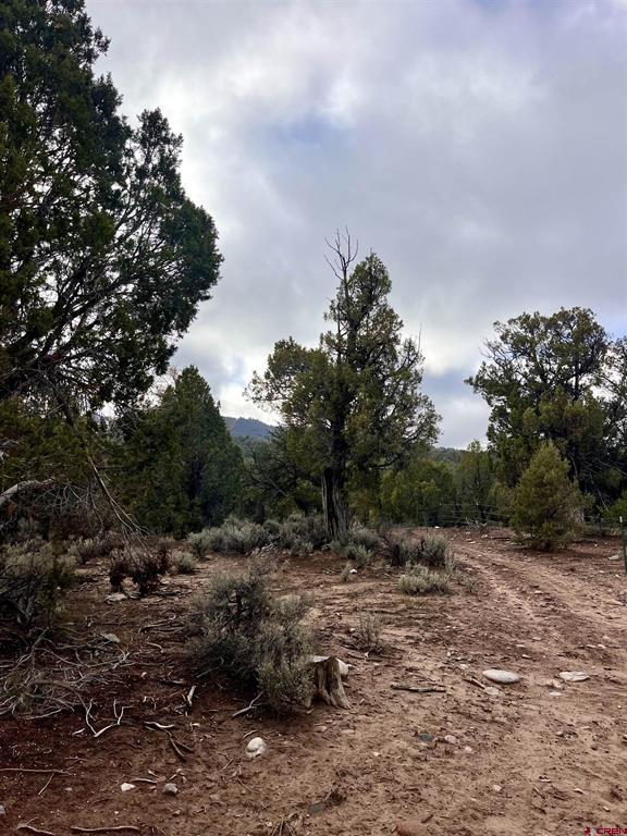 2114 County Road 318 Ignacio CO 81137