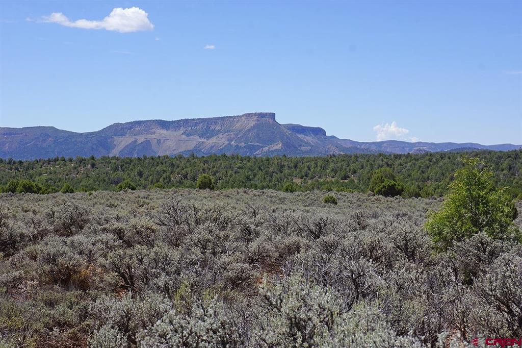 Tbd-lot 2 Highway 184 Mancos CO 81328