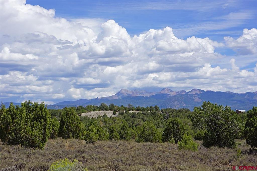 Tbd-lot 2 Highway 184 Mancos CO 81328