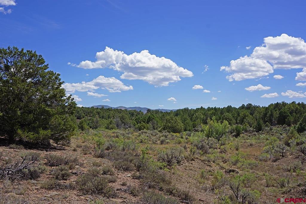 Tbd-lot 2 Highway 184 Mancos CO 81328