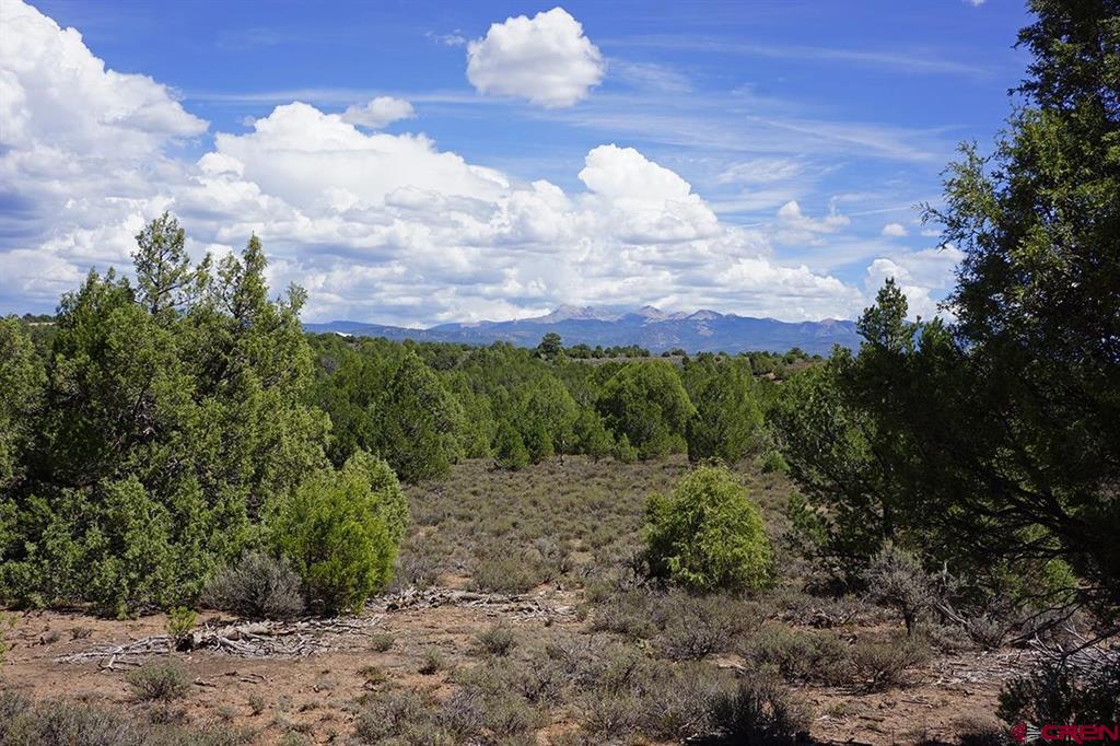 Tbd-lot 2 Highway 184 Mancos CO 81328