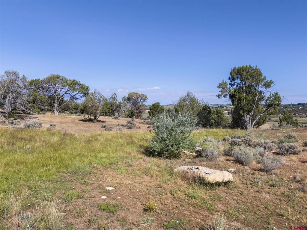 Tbd Cr 22 Cortez CO 81327