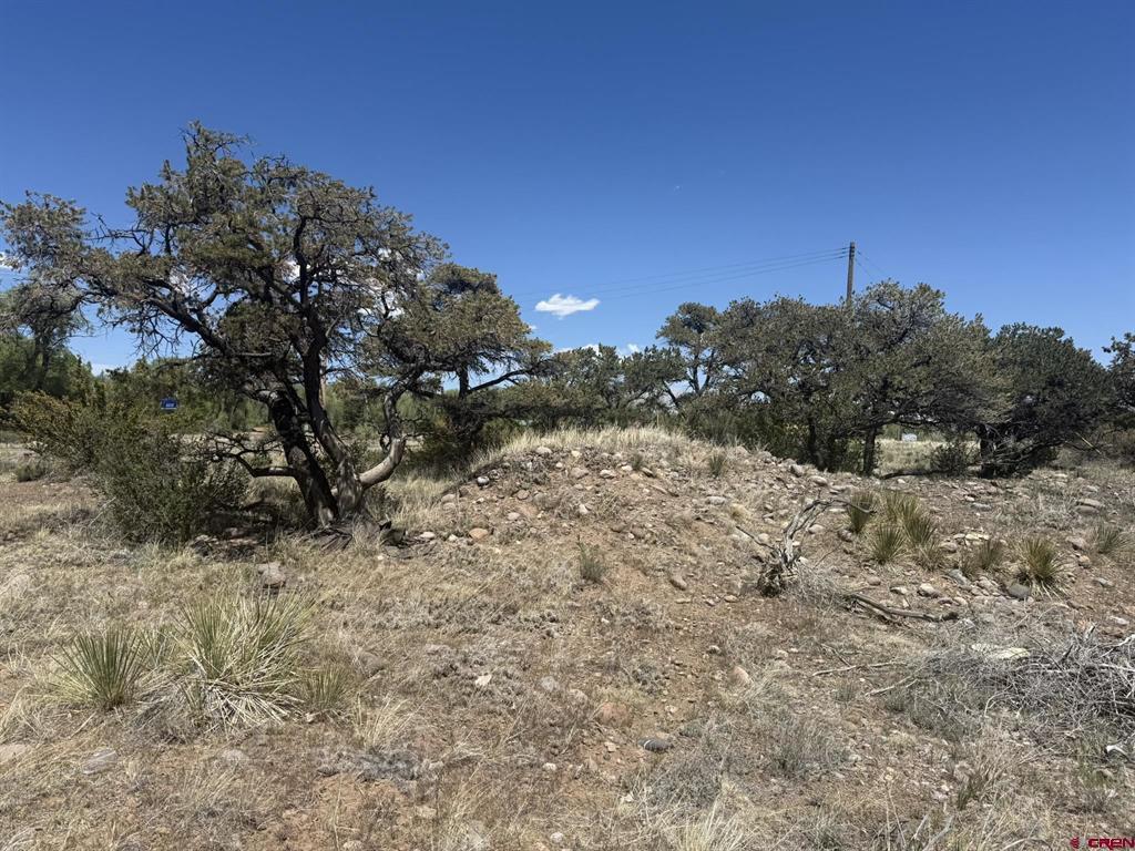 0 Kiowa Trail South Fork CO 81154