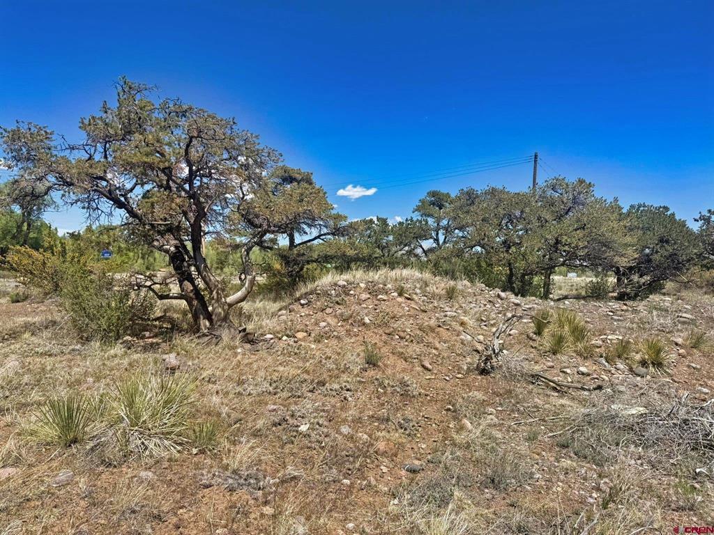 0 Kiowa Trail South Fork CO 81154
