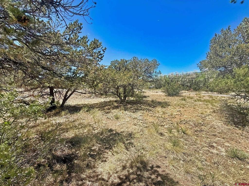 0 Kiowa Trail South Fork CO 81154