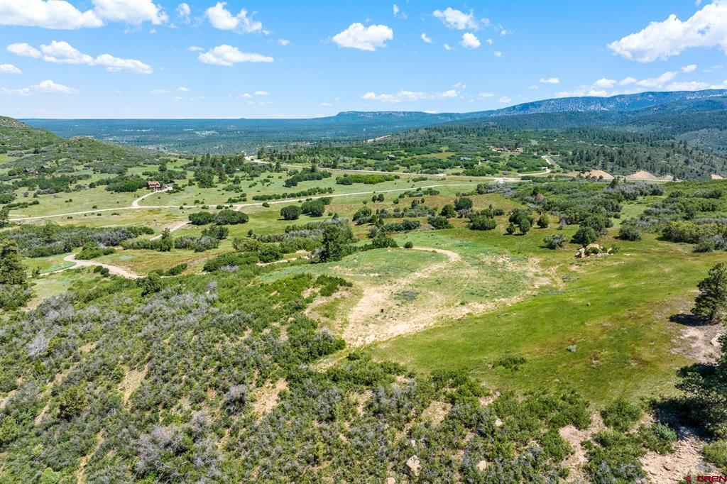 8350 Road 46 Mancos CO 81328