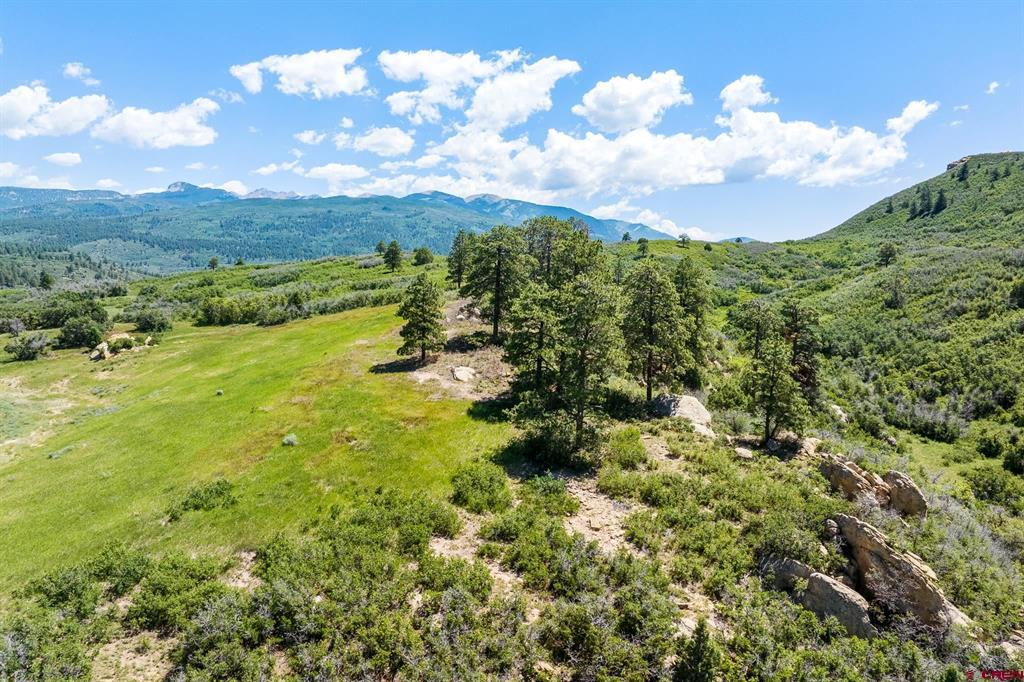 8350 Road 46 Mancos CO 81328