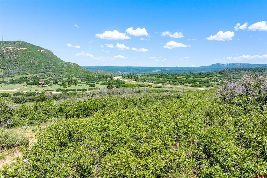 8350 Road 46 Mancos CO 81328
