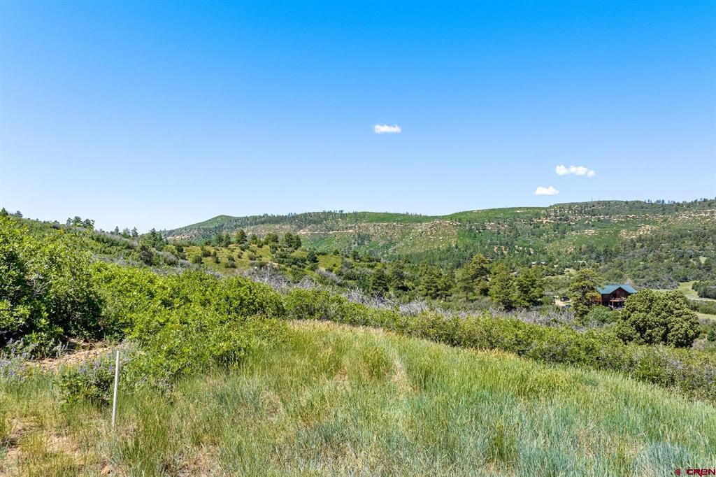 8350 Road 46 Mancos CO 81328