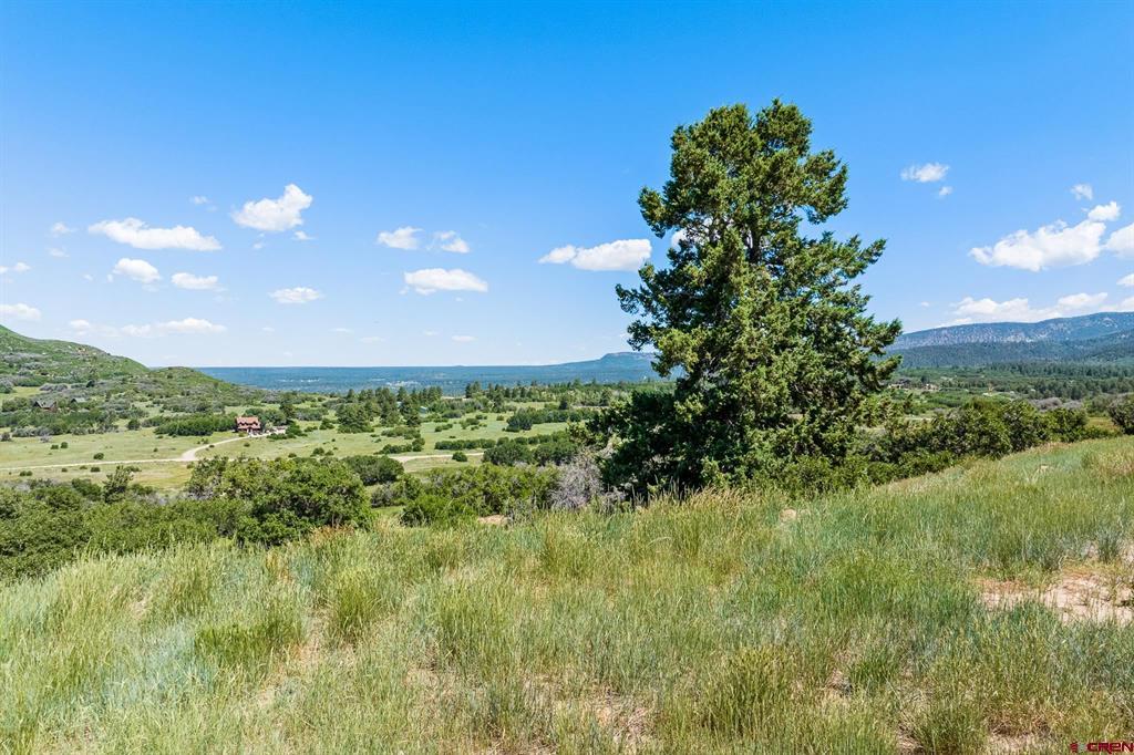 8350 Road 46 Mancos CO 81328