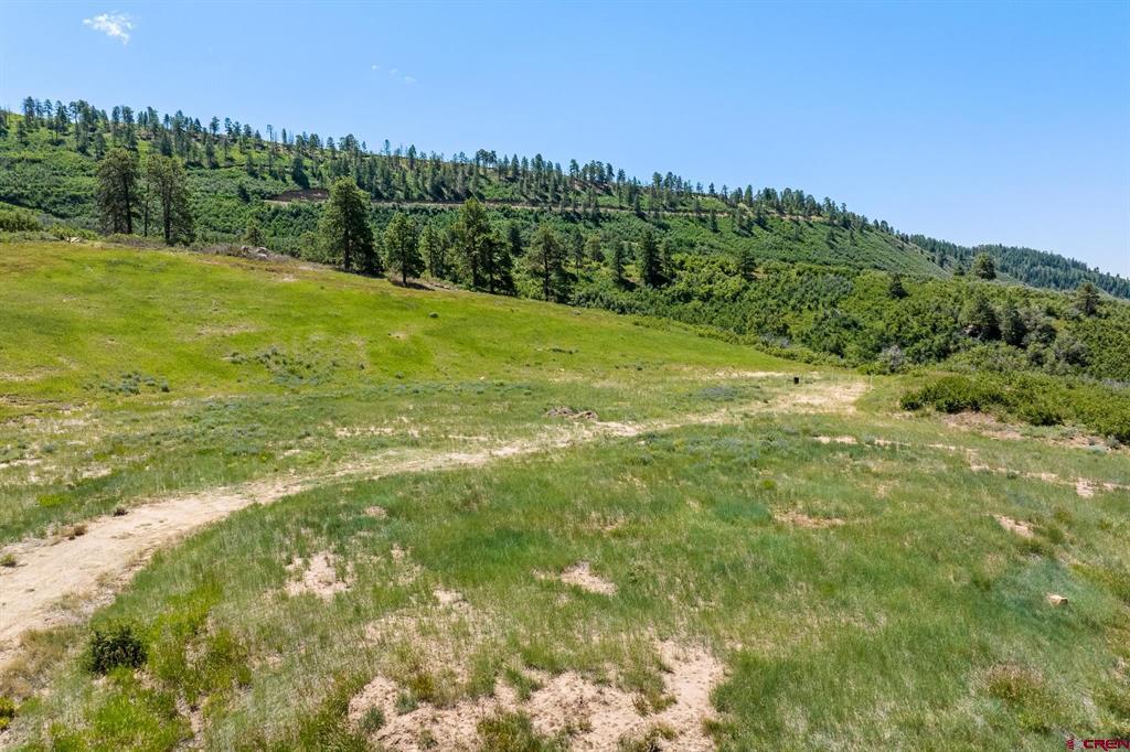 8350 Road 46 Mancos CO 81328