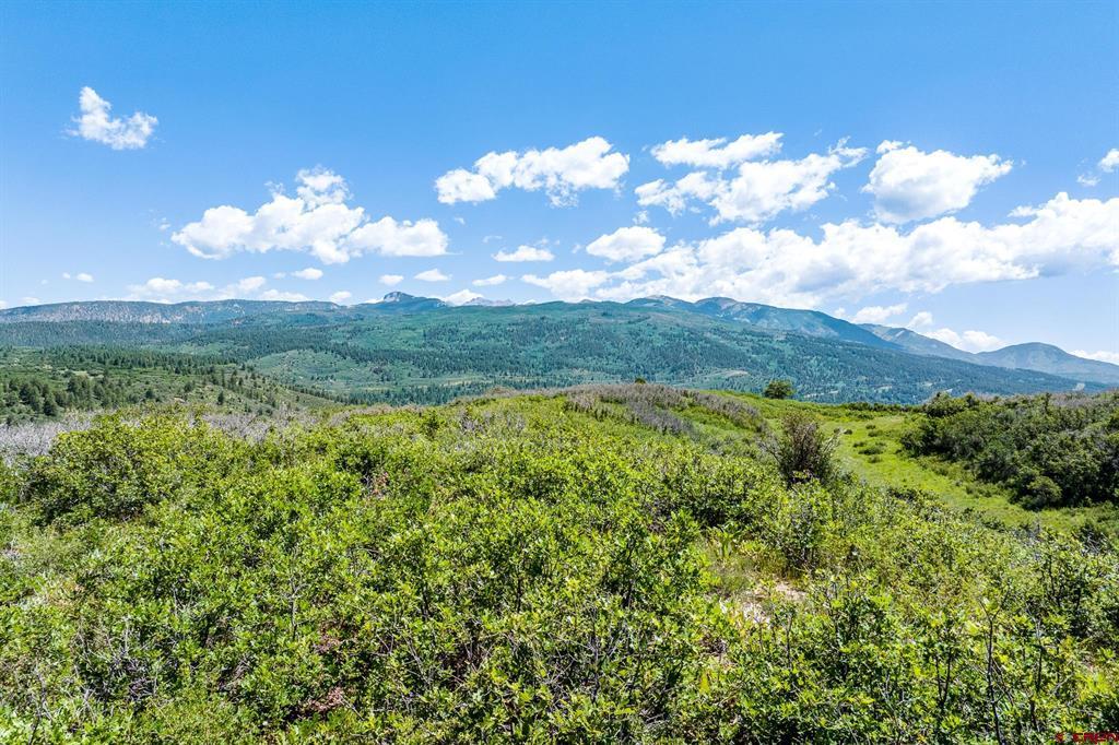 8350 Road 46 Mancos CO 81328