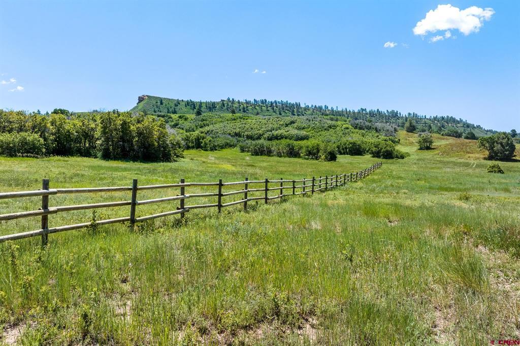 8350 Road 46 Mancos CO 81328