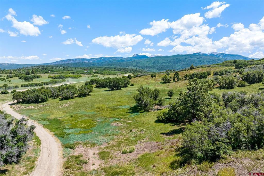 8350 Road 46 Mancos CO 81328