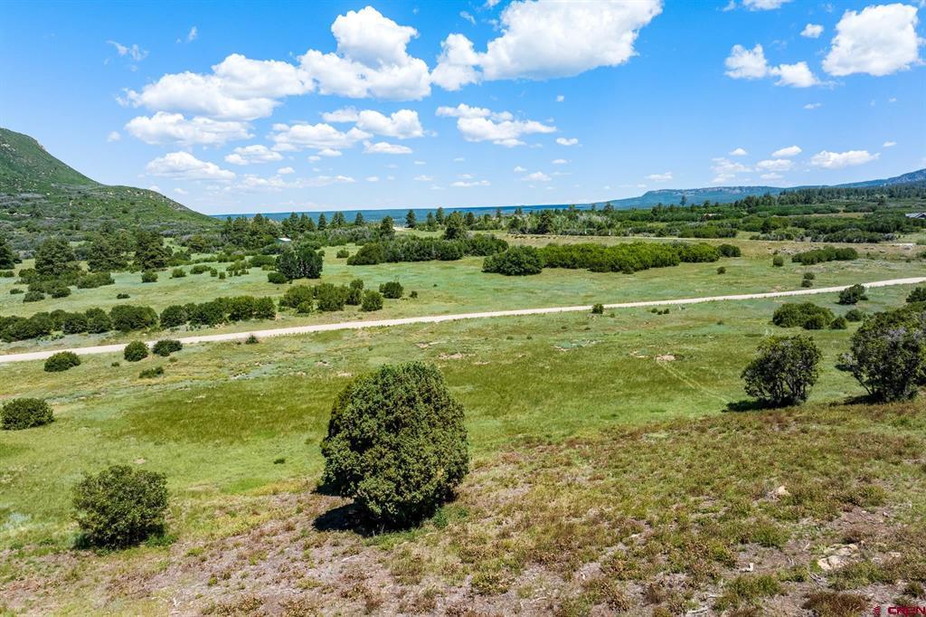 8350 Road 46 Mancos CO 81328