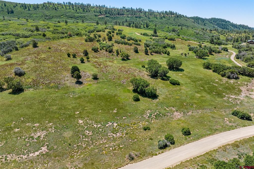 8350 Road 46 Mancos CO 81328