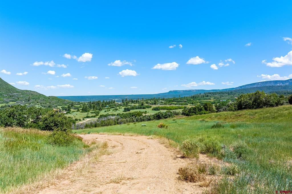 8350 Road 46 Mancos CO 81328