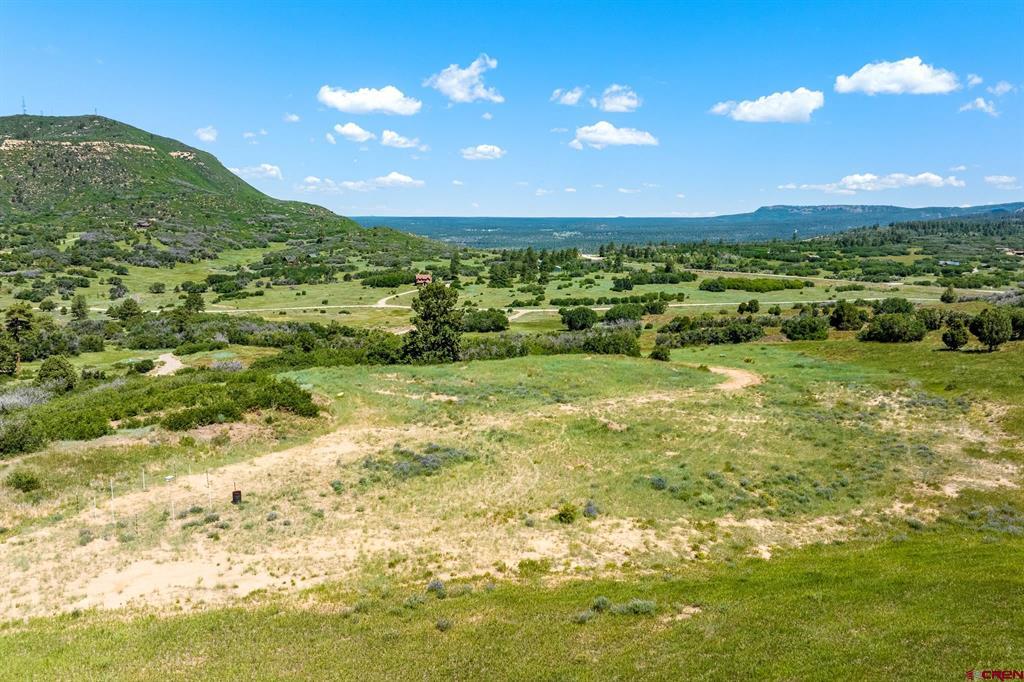8350 Road 46 Mancos CO 81328