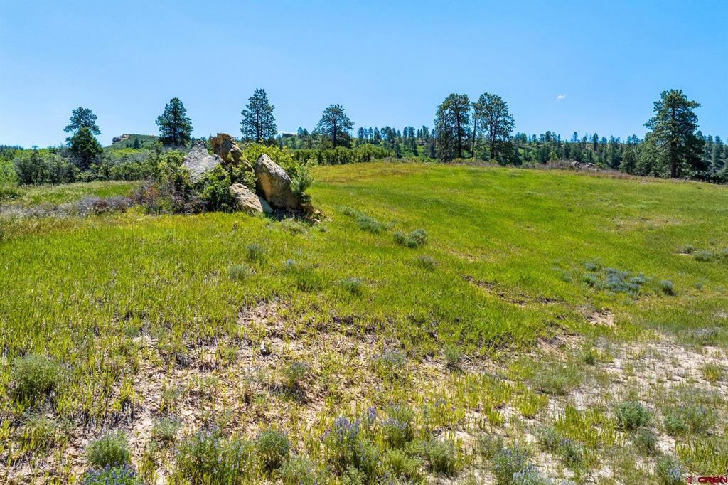 8350 Road 46 Mancos CO 81328