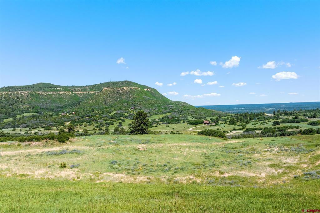 8350 Road 46 Mancos CO 81328