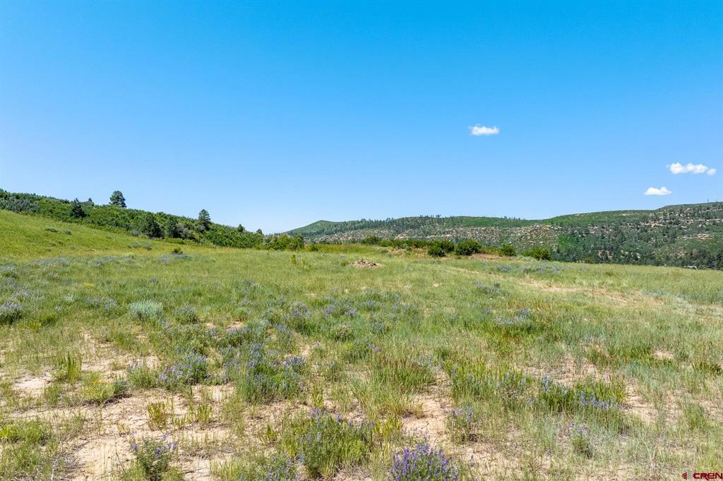8350 Road 46 Mancos CO 81328