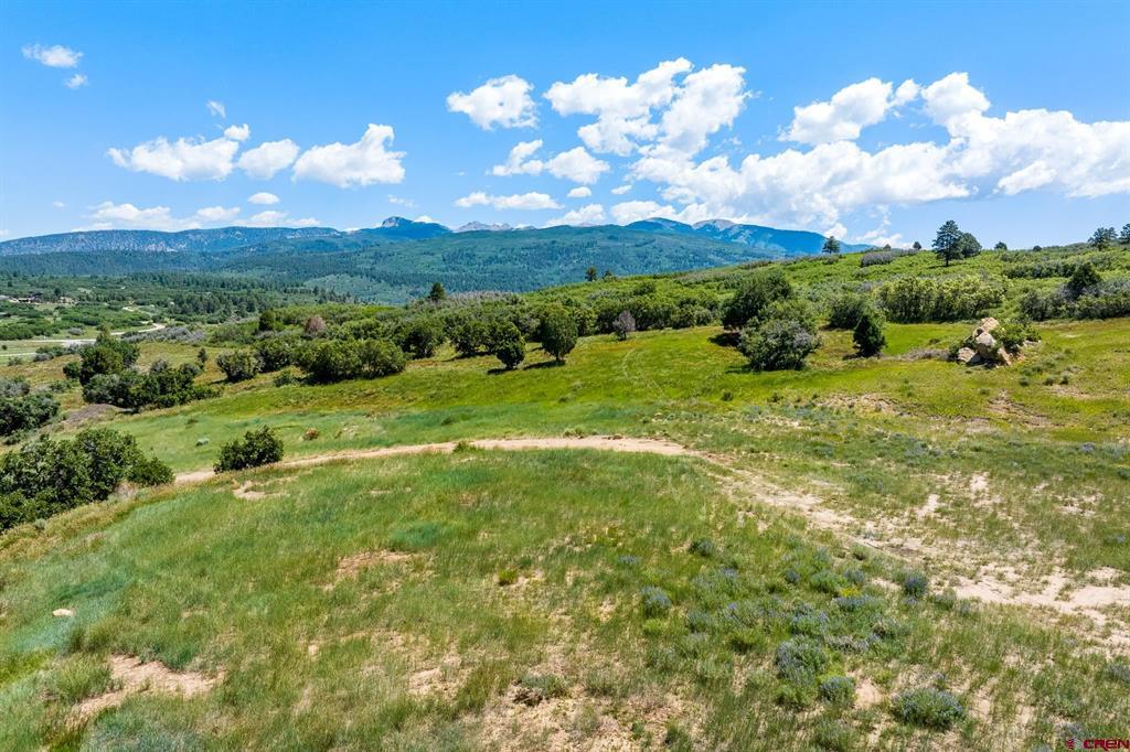 8350 Road 46 Mancos CO 81328