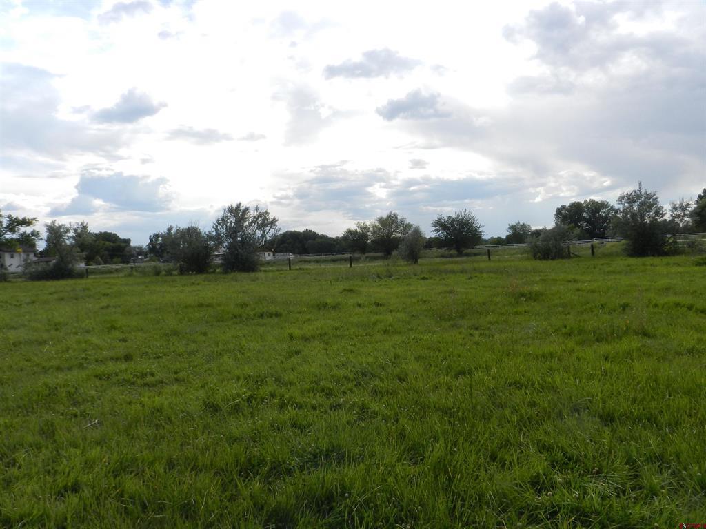 755 Spring Creek Road & 14750 Marine Road Montrose CO 81403