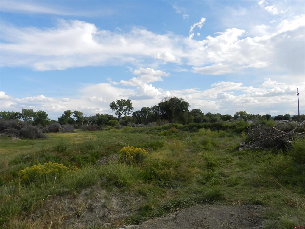 755 Spring Creek Road & 14750 Marine Road Montrose CO 81403