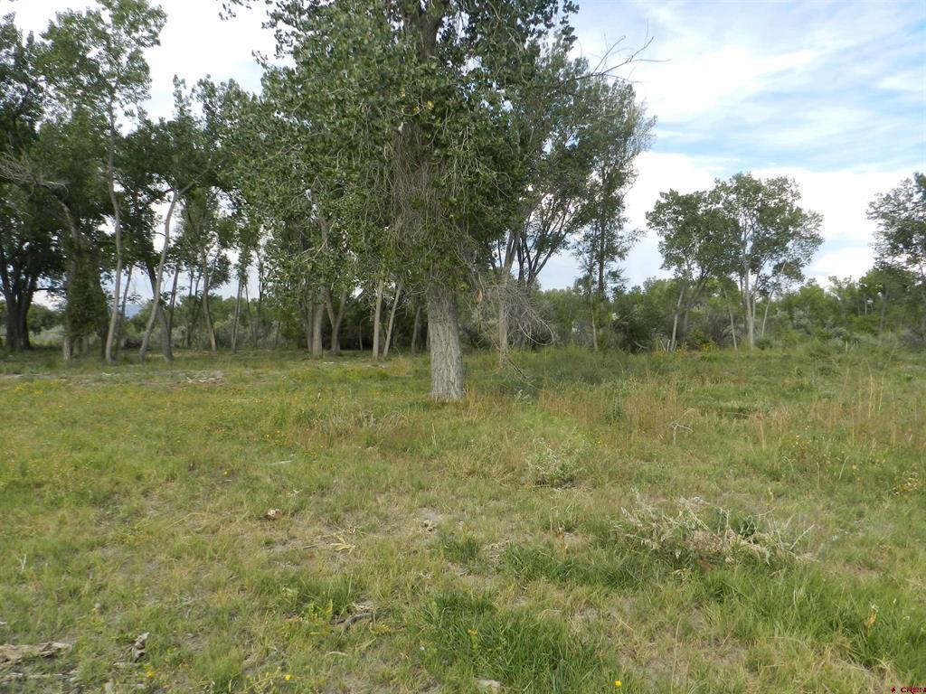 755 Spring Creek Road & 14750 Marine Road Montrose CO 81403