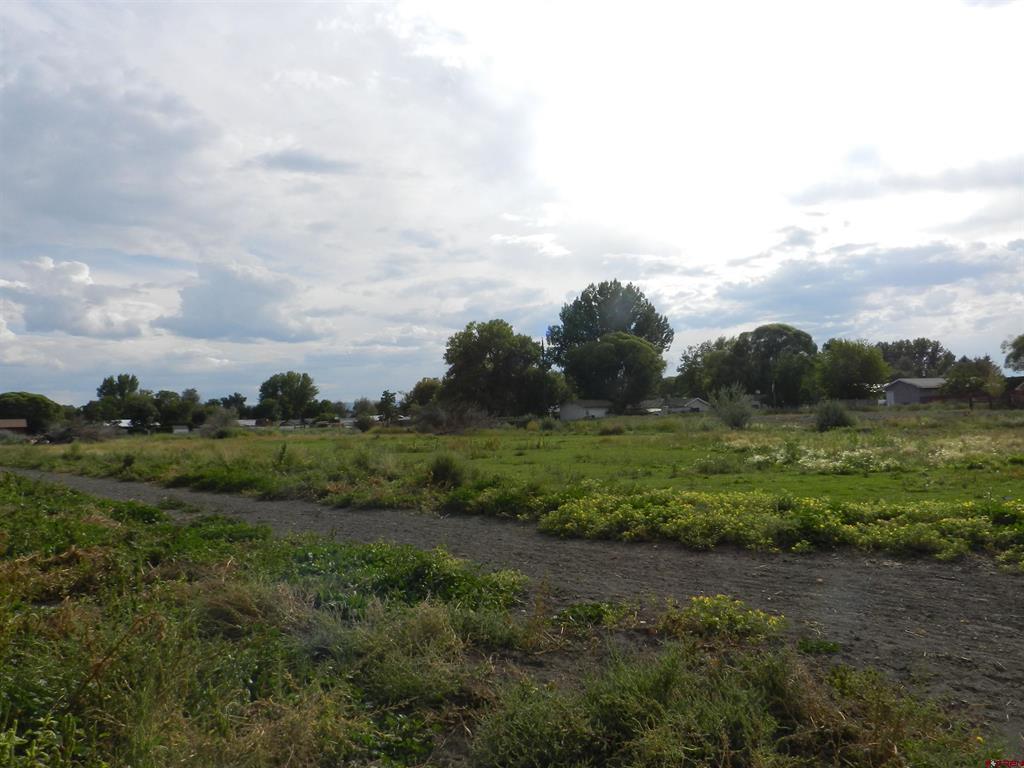 755 Spring Creek Road & 14750 Marine Road Montrose CO 81403