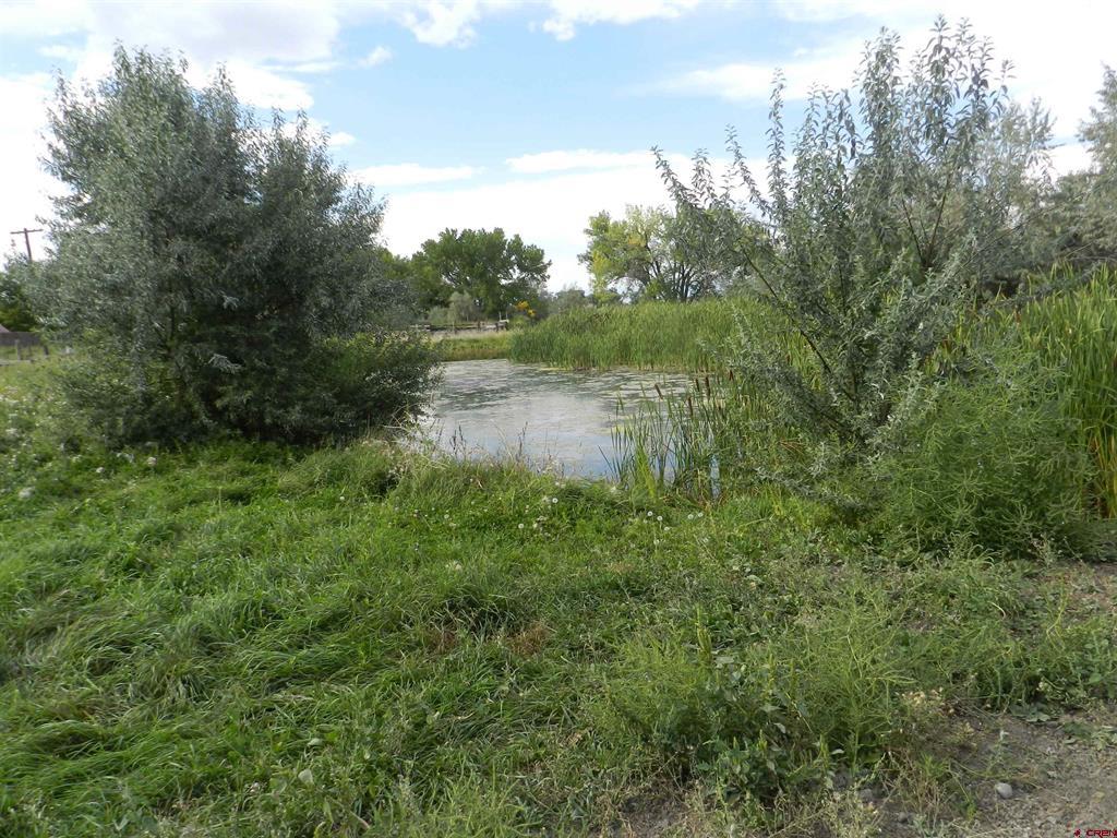 755 Spring Creek Road & 14750 Marine Road Montrose CO 81403