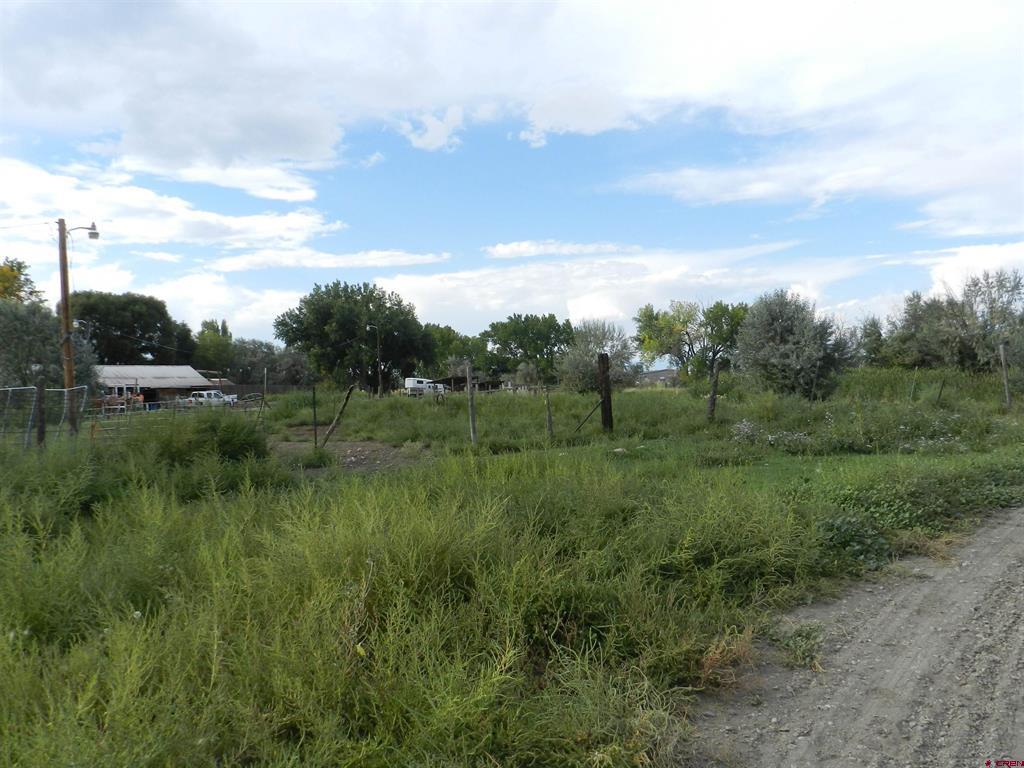 755 Spring Creek Road & 14750 Marine Road Montrose CO 81403