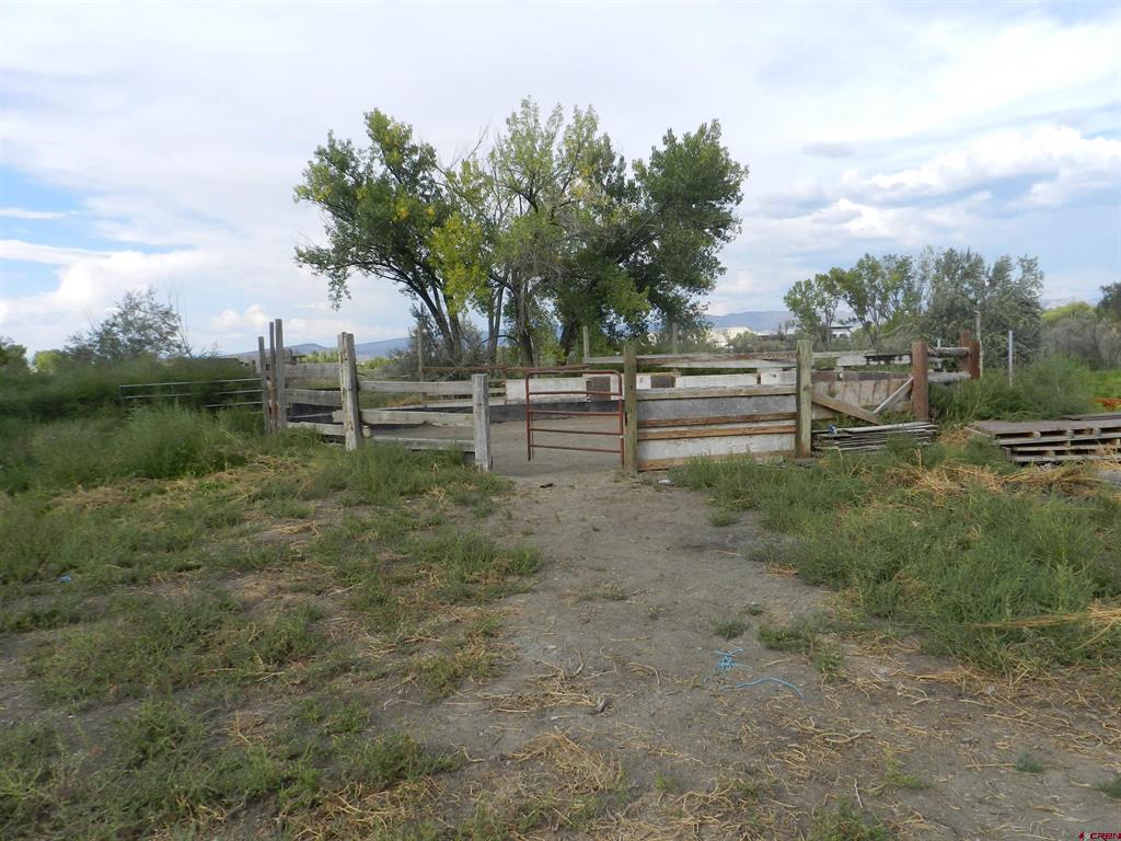 755 Spring Creek Road & 14750 Marine Road Montrose CO 81403