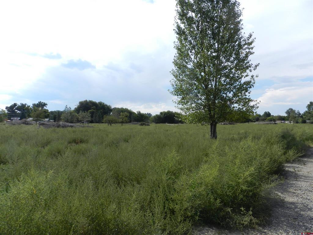 755 Spring Creek Road & 14750 Marine Road Montrose CO 81403